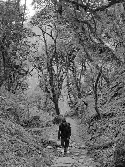 Nepal - Makalu Rural Municipality, Sankhuwasabha - Makalu Base Camp Trek: Journey to the Fifth Highest Peak - 1
