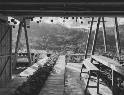 Vietnam - Dalat - Remote Working in Vung Tau Cape : Escape the Big City - 5