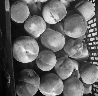 Morocco - Tizi Trekking - Treasure Hunt: Hiking, Nature and Healthy Diet in Toubkal Region, Morocco, Charming Hotel All Included - 7