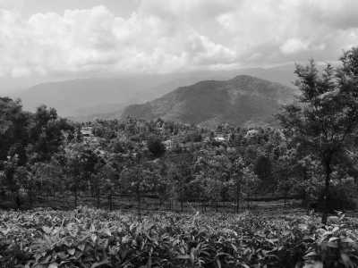 India - Kanyakumari - Ayurveda & Yoga Retreat in Kerala, Indien! 🧘‍♀️🇮🇳