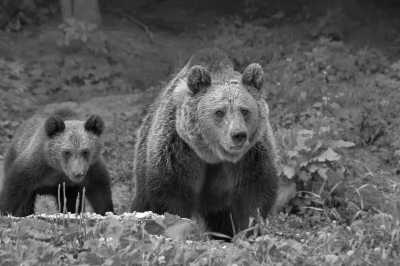 Romania - Brașov - Luxus Road Trip - 9 Tage durch Rumänien - 10