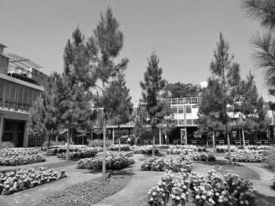 Indonesia - Rumah Atsiri Indonesia - Travel for Food and Culture at Central Java, Indonesia: Performing Arts, Javanese Food and Drinks | Female only Trip - 3