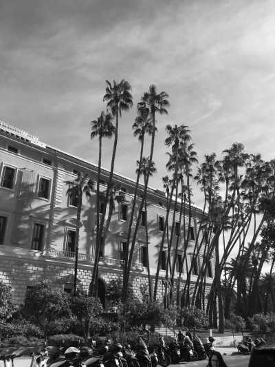 Spain - Málaga - (2weeks) Escape, Connect, Dream: Join the Ultimate Co-Living & Co-Working Retreat in Marbella! - 2