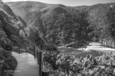 South Africa - Tsitsikamma National Park - ** SOUTH AFRICA FULL ROAD TRIP ** Explore the most breathtaking landscapes, unique wildlife, scenic roads and multicultural cities of The Rainbow Nation - 1