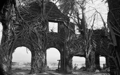 India - Netaji Subhash Chandra Bose Island - Explore Andaman Archipelago 🌊 A summer beach vacation 🏖️ scuba diving in the pristine marine ecosystem 🤿 explore islands unique wildlife wonders & activities 🐾 sunrise & sunsets