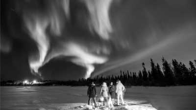 Nordeuropa - Tromsø - 2024 Tromsø Winter Expedition: Ice Floating in the Arctic 🧊 Whale Spotting 🐋 Reindeers 🦌🛷 Northern Lights 🌌✨ Fjord Roadtrips 🚗 🏔️ - 2