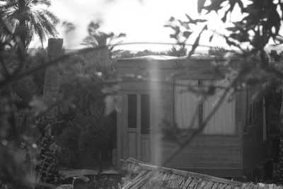 Egypt - Mangrove Camp Fayoum - Fayoum, Egypt: Immerse Yourself in Nature for a Memorable Getaway - 1