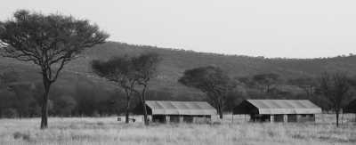 Tansania - Serengeti National Park - Tanzania Safari - Single Private room (1pax) - 3