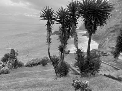 Portugal - Penha de Águia - Coworkation and adventurous hiking trip with a knowledgeable expat in the centre of Funchal, Madeira (single rooms) - 2