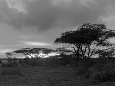 Tanzania - Tarangire National Park - Pocket friendly Tanzanian Safari with a local - 7