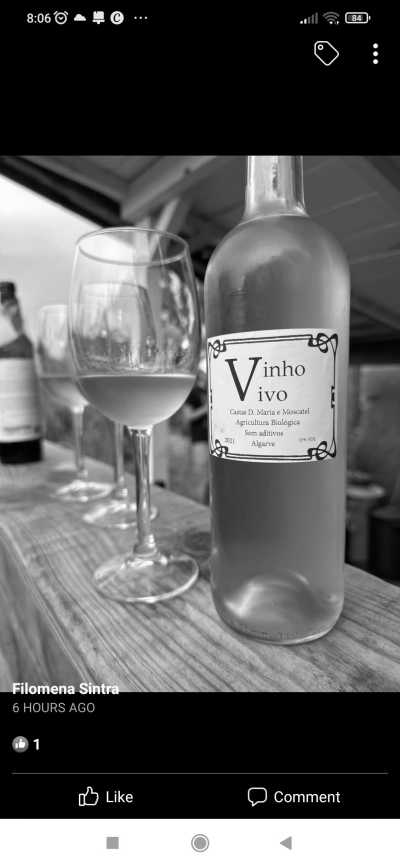 Southern Europe - Vila Real de Santo António - Exploring Yoga, Nature, and Culture in Southern Portugal: A Blissful Retreat - 2