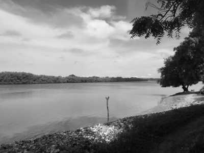 Gambia, The - Jinack Island - Boots Abenteuerreise in Afrika - Gambia 😊 - 1