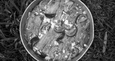 Costa Rica - La Gamba centro - Co-working und Volunteering im Regenwald Costa Ricas - 8