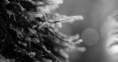 Guatemala - Volcán Tolimán - Volcano Expedition in Guatemala: Hike Five Volcano Peaks in Nine Days 🇬🇹 - 5