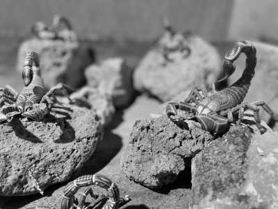 Mexico - Oaxaca - DAY OF THE DEAD AT OAXACA - 66