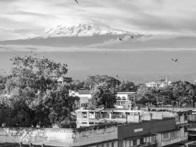 Tanzania - Moshi - 6 days Serengeti Safari and 7 days Kilimanjaro Summit