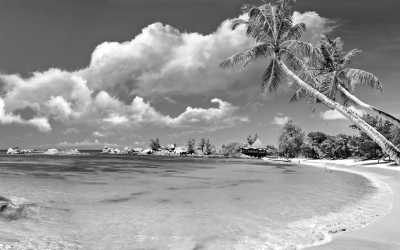 Indien - Goa - Explore the beauty of GOA- Water Sports, Night Party and Luxurious Accommodation! - 2