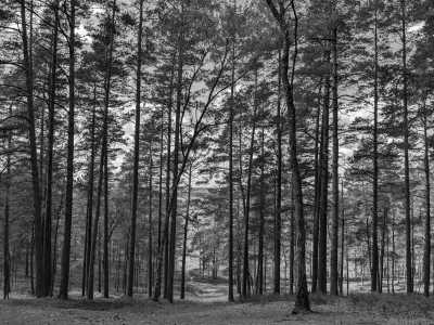 Northern Europe - Nationalpark Ķemeri - Discover the Baltic States: Tallinn, Riga, Vilnius and Much More! - 2