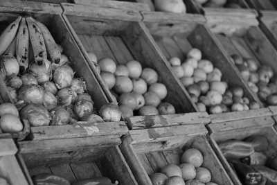 World - Montevideo - Expedition to the End of the Earth: Discover Antarctica and Argentina