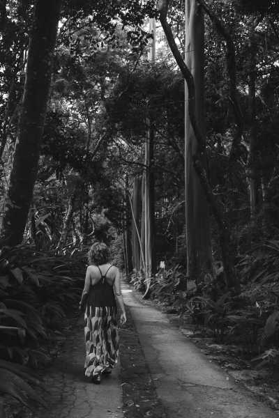 Brazil - Praia de Calhetas - Samba Soul Retreat: 7 Days of Heart-Opening Bliss in Brazil - 9