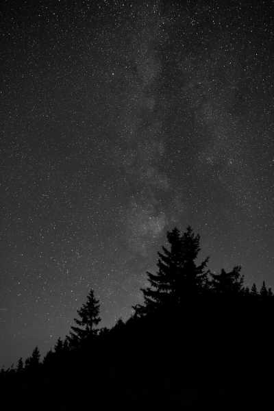 Slowakei - Horsky Hotel Kralova studna - Wilderness and Tranquility: Hiking Adventure in Great Fatra National Park in Slovakia - 14