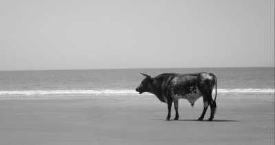 Gambia, The - Jinack Island - Angel Abenteuer Afrika - Gambia 😊 - 6