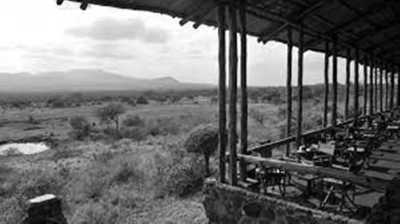 Kenya - Tsavo West National Park - Kenya Safari 🇰🇪​🐘​ Amboseli National Park - Private sharing room (fits 2 guest) - 2