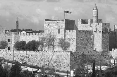 Israel - Jerusalem - Discover the Vibrant city of Tel Aviv at its shiniest and craziest: Gay Pride🏳️‍🌈🥳 - 4