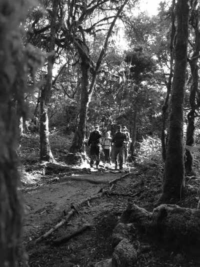 Tansania - Mweka - KILIMANJARO: 8 DAYS CLIMBING VIA LEMOSHO ROUTE