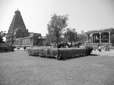 India - Thanjavur - Ancient South India: Experience the Exotic Ancient Temples and Enticing Hills of Tamilnadu - 18