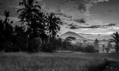 Indonesien - Ubud - Discover Bali Like a Local: Authentic Travel Experiences Await - 5