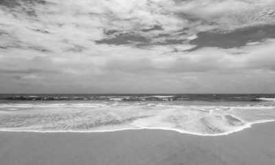 Sri Lanka - Negombo - Sri Lanka Hill country, through the eyes of a local - 1