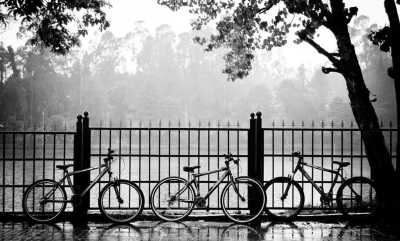 India - Kodaikanal - Ancient South India: Experience the Exotic Ancient Temples and Enticing Hills of Tamilnadu - 3