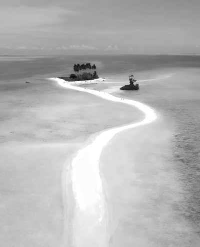 Indonesia - Pulau Derawan - Swimming with Whaleshark, stingless JellyFish, MantaRay at Derawan Islands, East Kalimantan, Indonesia - 2