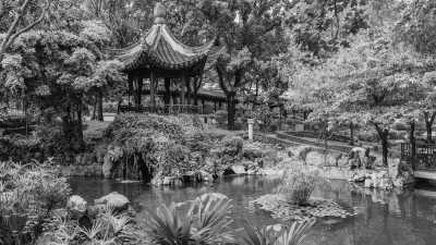 Hong Kong - Kowloon Walled City Park - Discover Hong Kong at it's finest- Nature, Culture, Food and More!