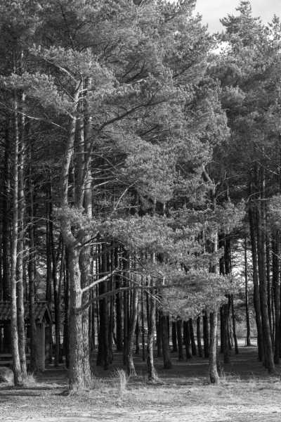 Portugal - Ribeira de Pena - Explore the hidden wonders of the north of Portugal with a local - 14