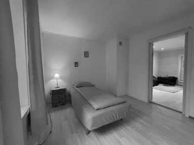 Norwegen - Borg - New Year's Eve in Norway - Northern Lights, snow and dog sledding! - 4