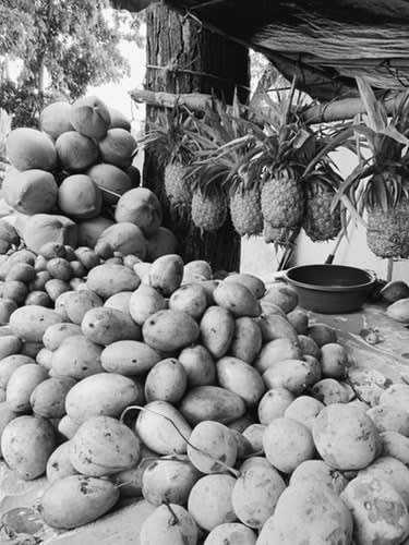 Philippines - Oslob - 9-day City and Island Hopping Paradise: Exploring Manila, Cebu, and Bohol in the Philippines - 2