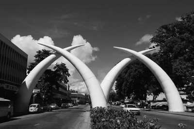 Kenya - Mombasa - Discovering the nature and customs of Kenya, East Africa - 1