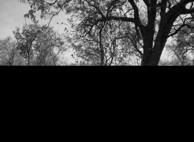 Westafrica - Fathala Wildlife Reserve - Abenteuerreise nach Afrika - Gambia 😊 - 4