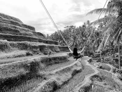 Indonesien - Tegalalang - Bali Bliss: Explore Ubud, Waterfalls, Nusa Penida Island Gems and More! - 3