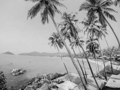 India - South Goa - Goa New Year's: Where the Sun Sets and the Party Never Stops