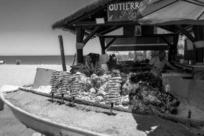 Spanien - El Palo - Dynamic Trip in sunny Málaga: Flamenco, Hiking, Spanish Tapas, Yoga and Bachata! 💃✨🌅 - 2