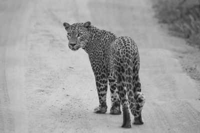 Sri Lanka - Tissamaharama - Tropical Roundtrips: Discovering Sri Lanka's Wonders - 10