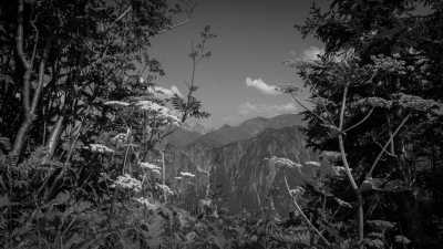 Deutschland - Fellhorn - A Magical Experience | Walkshop | Allgäu | Fellhorn Ridge | German Alps | 4 days - 18