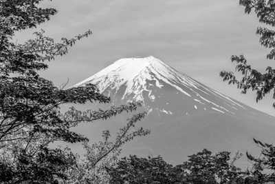 Japan - Tokyo - Rising Sun Odyssey: Exploring Japan's Timeless Charms 🎋 Tokyo🗼Fuji 🗻 Kyoto 🎎 Nara 🦌 Osaka 🏯 Hiroshima - 2