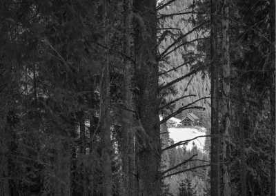 Rumänien - Cabana Curmătura - Workation and Hikes in Transylvania, Romania - 2