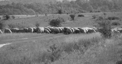 Europa - Cluj-Napoca - Adventure 4x4 Romania - 3