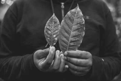 Tansania - Arusha - Serengeti Migration Safari in Tanzania Africa - 2