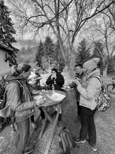 Hungary - Zebegény - Danube Bend Highlights (Visegrád), Hungary: Hiking Adventure - 4